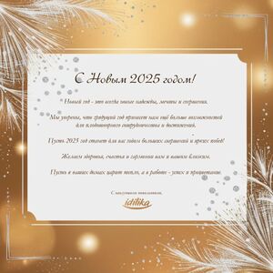С НОВЫМ 2025 ГОДОМ! - IDILIKA торгово-производственная компания